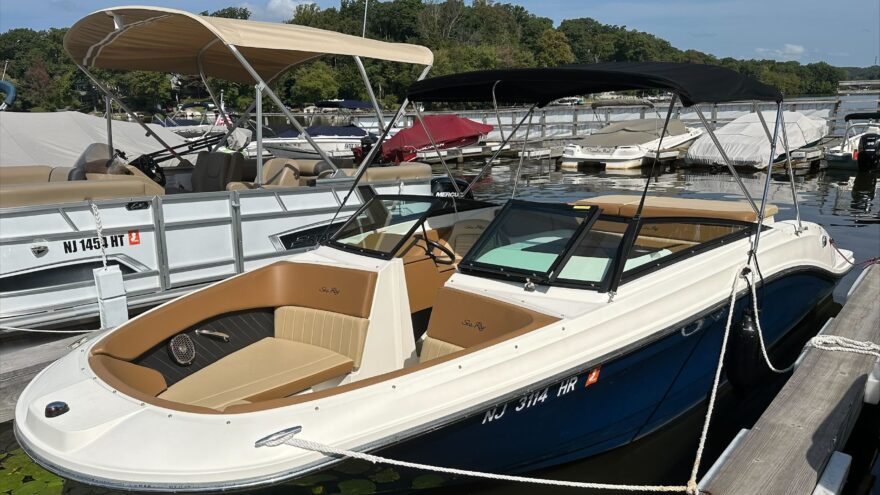 2018 Sea Ray SPX 230 Video Review | Bridge Marina